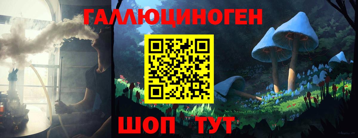 Зима  Псилоцибиновые грибы MAGIC MUSHROOMS  наркошоп  Вход с VPN 